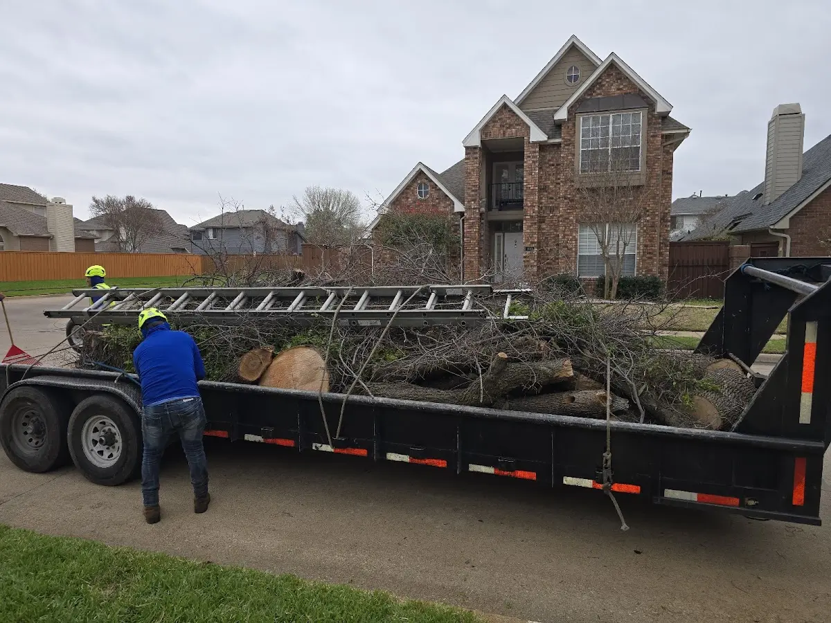 Expert Tree Fertilization with proper safety equipment in Bonita Springs